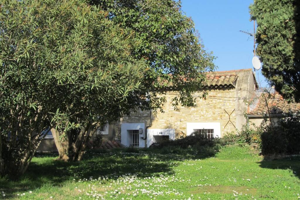 Gite De L'Eglise Sablet Exteriér fotografie